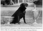 Maternal Ancestor: NFC-2x NAFC Super Chief, b. 1962